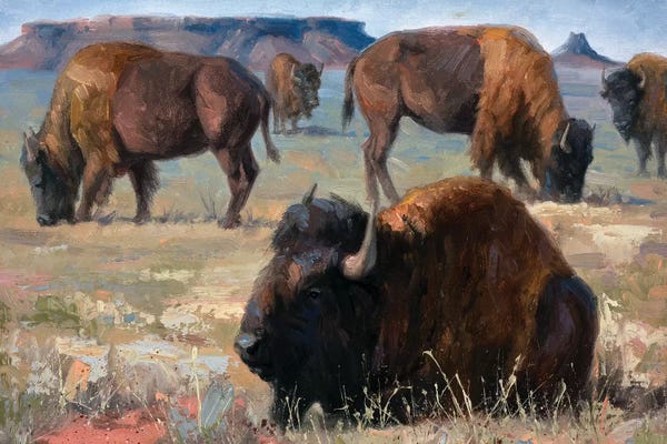 Bison & Buffaloes: Lazy Days by Jack Sorenson
