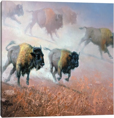 Plains Thunder Canvas Art Print - Jack Sorenson