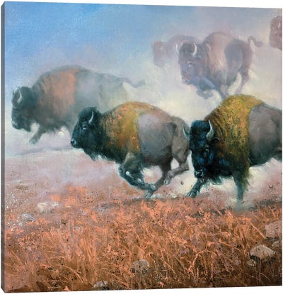 Prairie Thunder Canvas Art Print - Jack Sorenson