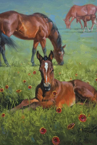 Baby Animals: Indian Blanket by Jack Sorenson