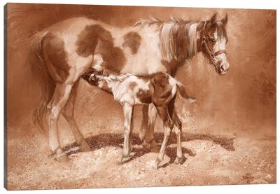 Sienna Paint Canvas Art Print - Western Décor