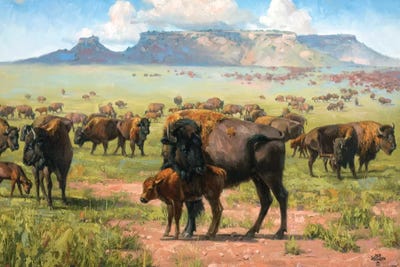 Spirit Of The Plains by Jack Sorenson metal wall art