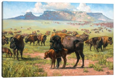 Spirit Of The Plains Canvas Art Print - Jack Sorenson