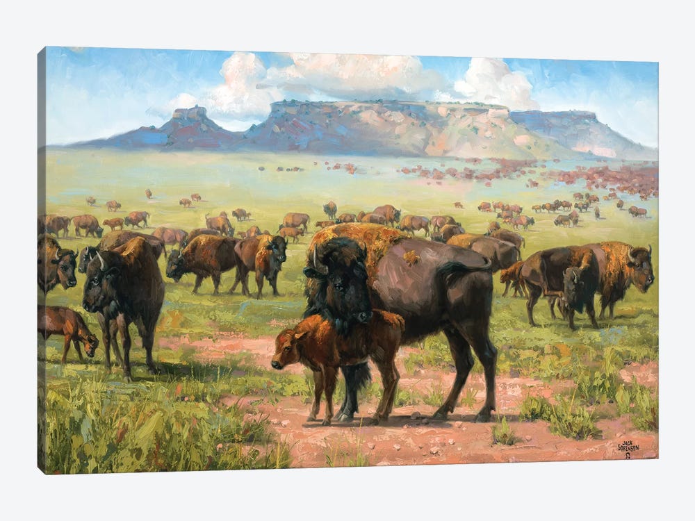 Spirit Of The Plains by Jack Sorenson 1-piece Canvas Art Print