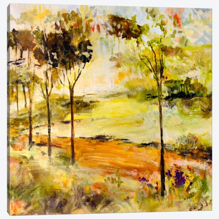Scenic Path Canvas Print #JSR12} by Julian Spencer Canvas Artwork