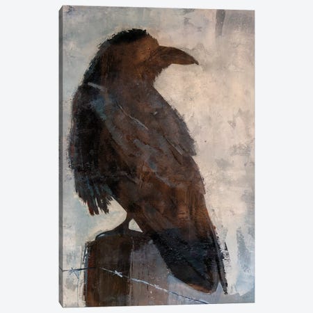 Raven Canvas Print #JSR133} by Julian Spencer Canvas Print