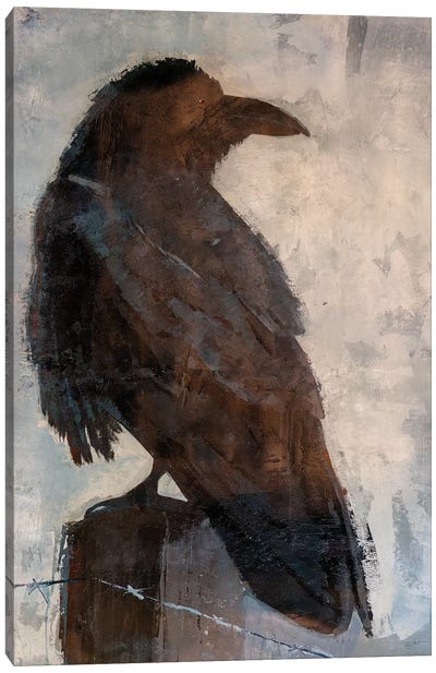 Raven Canvas Art Print - Raven Art