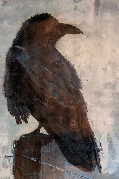 Ravens: Raven by Julian Spencer