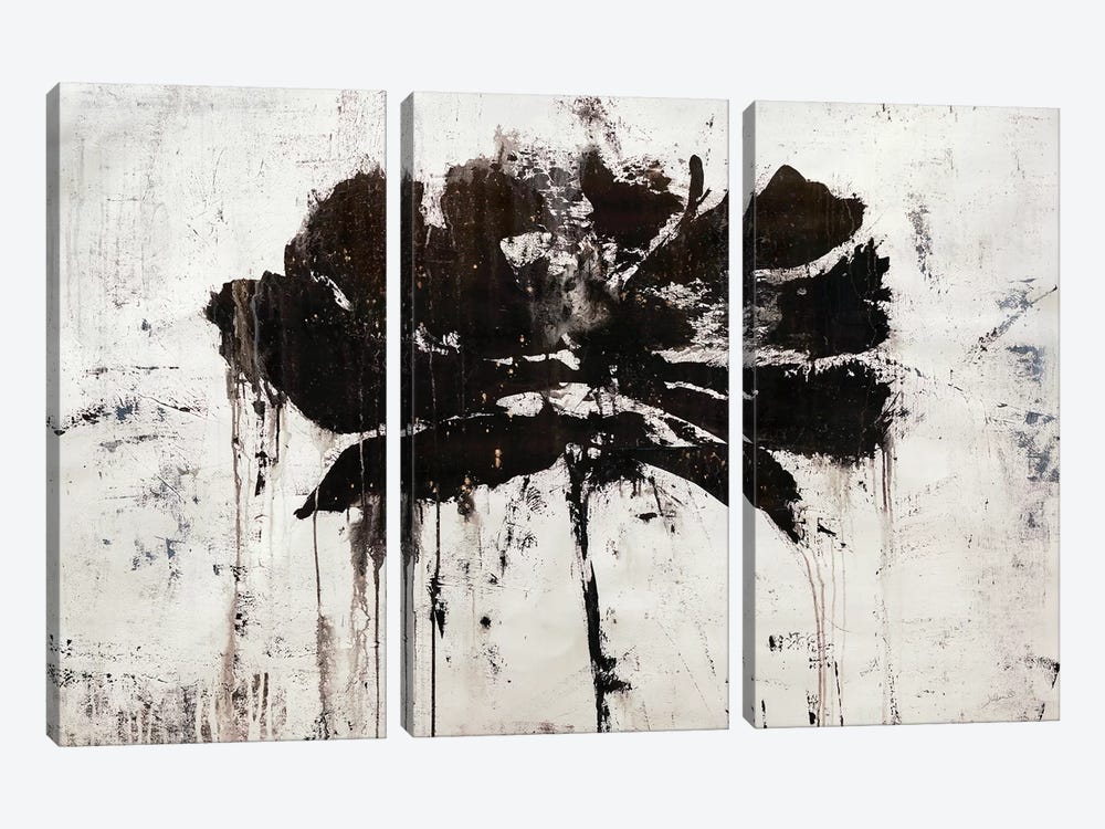 Black Rain by Julian Spencer 3-piece Canvas Wall Art