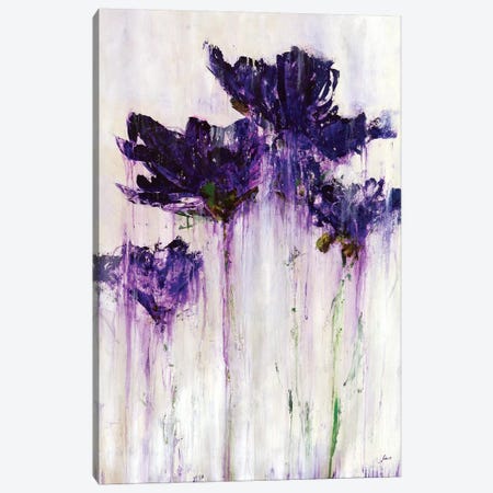 Floral Fountain Canvas Print #JSR146} by Julian Spencer Canvas Print