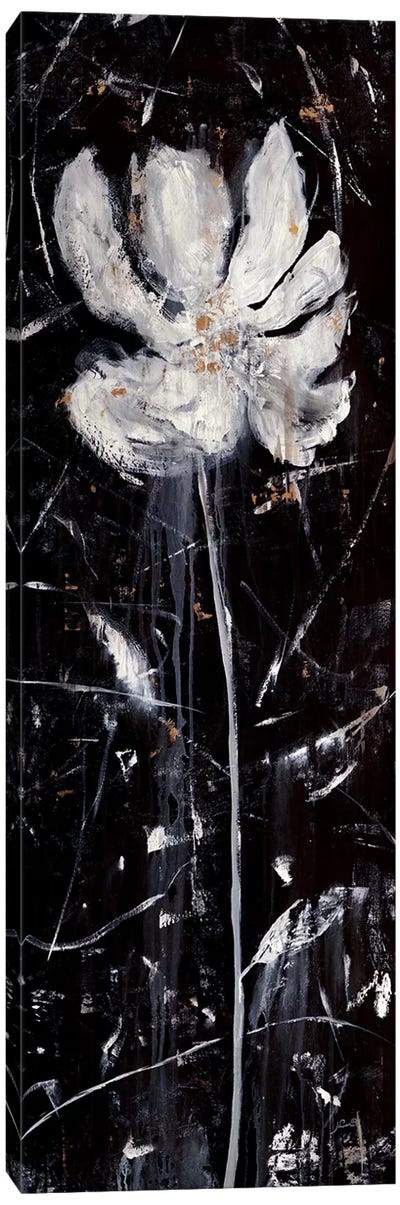 Shadow Sway I Canvas Art Print - Black & White Abstract Art