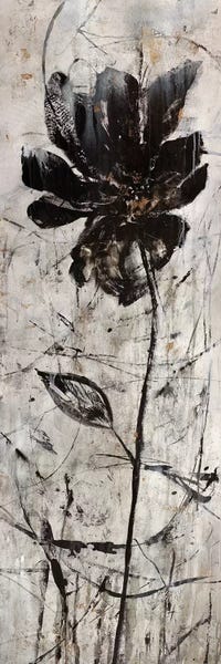 Julian Spencer: Shadow Sway II by Julian Spencer