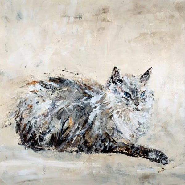 Julian Spencer: Toulouse by Julian Spencer