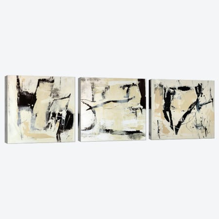 Pieces Triptych Canvas Print Set #JSR3HSET001} by Julian Spencer Art Print