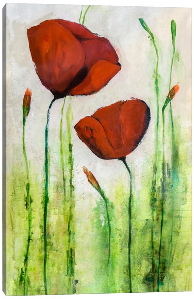 Spring Pop III Canvas Art Print - Poppy Art