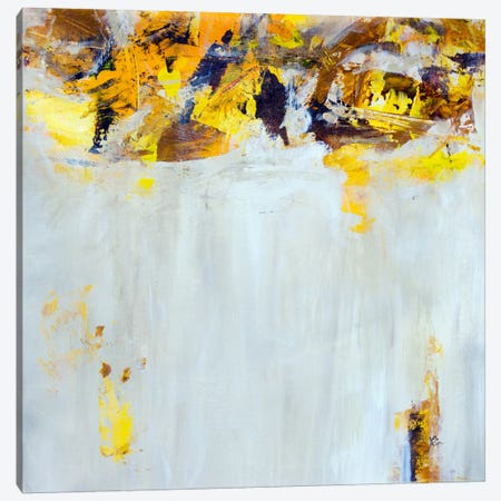 Yellow Spice Canvas Print #JSR48} by Julian Spencer Art Print