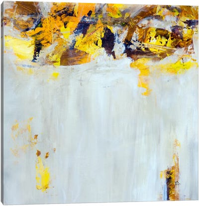 Yellow Spice Canvas Art Print - Julian Spencer