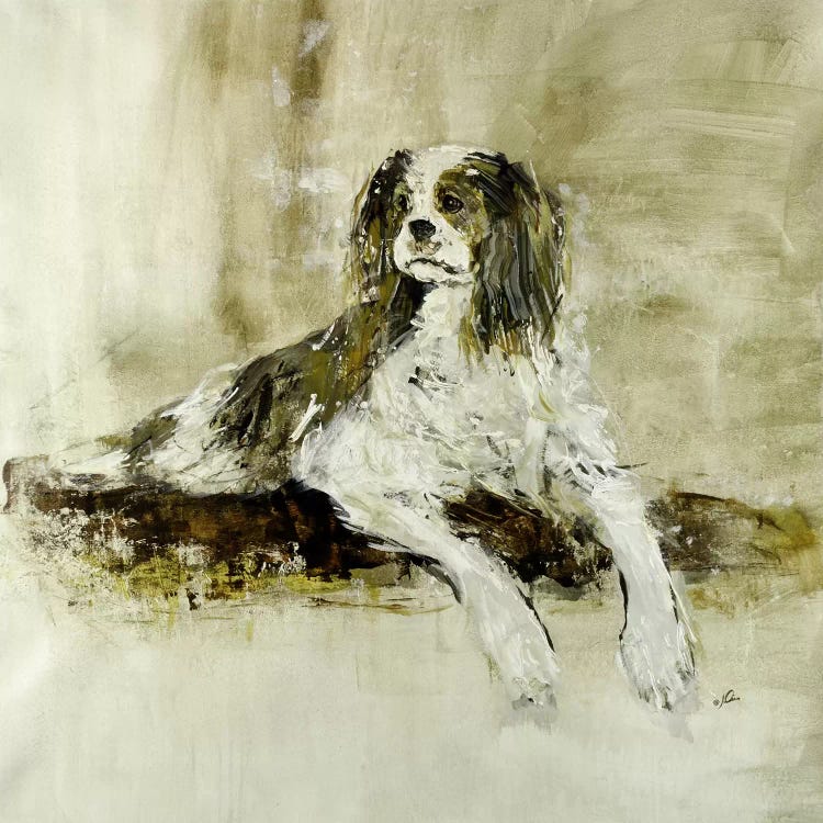 Winston by Julian Spencer wall art