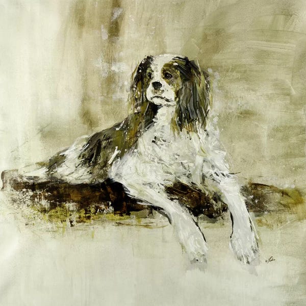 Cavalier King Charles Spaniels: Winston by Julian Spencer