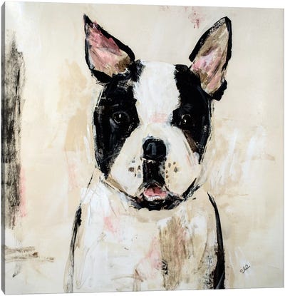 Jasmine Canvas Art Print - Boston Terrier Art