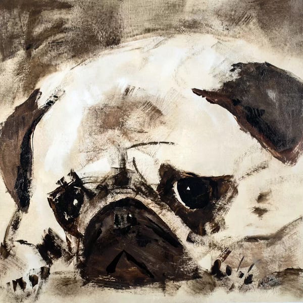 Pugs: Percival by Julian Spencer
