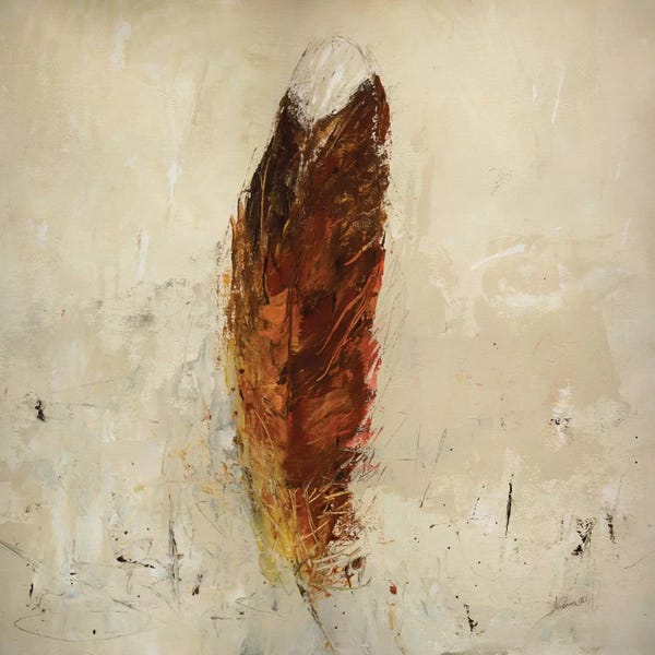 Feathers: Feather Flame by Julian Spencer