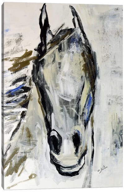 Picasso's Horse I Canvas Art Print - Rustic Décor