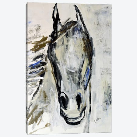 Picasso's Horse I Canvas Print #JSR6} by Julian Spencer Canvas Artwork