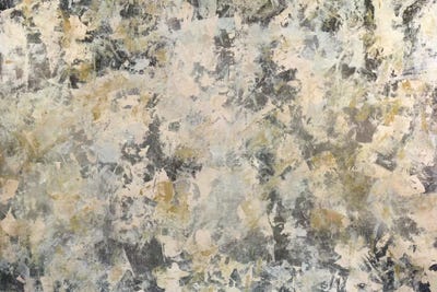 Vintage Mirror by Julian Spencer framed canvas print