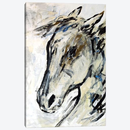 Picasso's Horse II Canvas Print #JSR7} by Julian Spencer Canvas Art