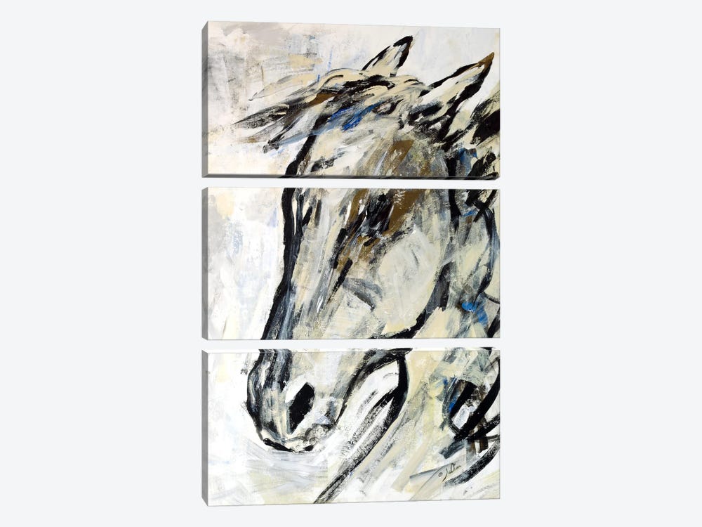 Picasso's Horse II by Julian Spencer 3-piece Canvas Artwork