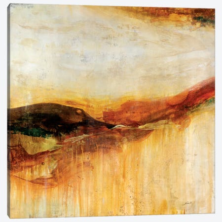 Canyon Sunset Canvas Print #JSR80} by Julian Spencer Canvas Art Print
