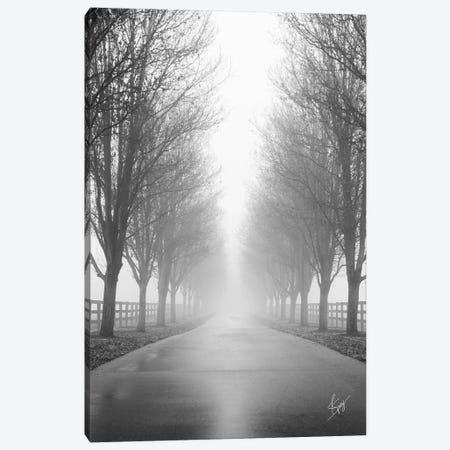 Curious Road Canvas Print #JSV4} by Justin Spivey Canvas Wall Art