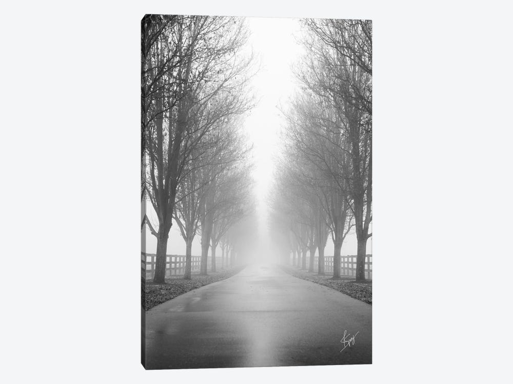 Curious Road by Justin Spivey 1-piece Canvas Print