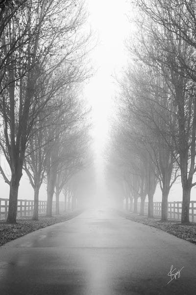Black & White Florals: Curious Road by Justin Spivey