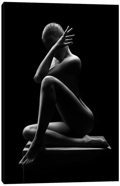 Nude Woman Bodyscape 41 Canvas Art Print - Johan Swanepoel