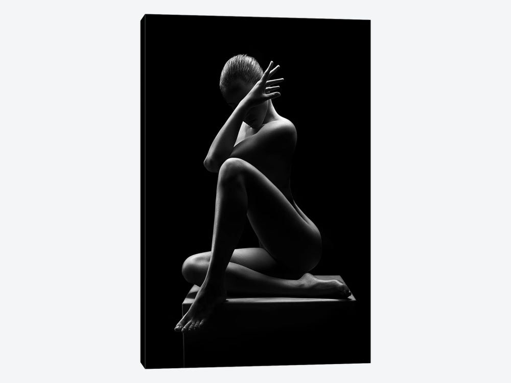 Nude Woman Bodyscape 41 by Johan Swanepoel 1-piece Canvas Wall Art