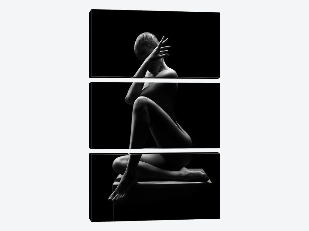 Nude Woman Bodyscape 41 by Johan Swanepoel 3-piece Canvas Artwork