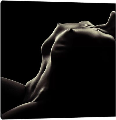 Nude Woman Bodyscape 42 Canvas Art Print