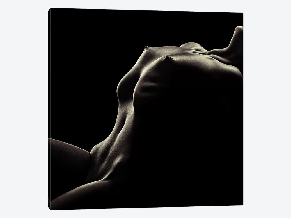 Nude Woman Bodyscape 42 by Johan Swanepoel 1-piece Canvas Art Print