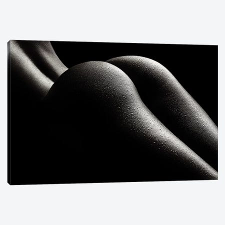 Nude Woman Bodyscape 43 Canvas Print #JSW103} by Johan Swanepoel Canvas Art