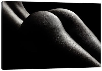 Nude Woman Bodyscape 43 Canvas Art Print - Figurative Photography