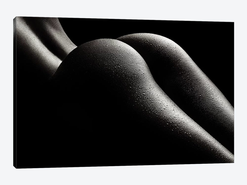 Nude Woman Bodyscape 43 by Johan Swanepoel 1-piece Canvas Wall Art