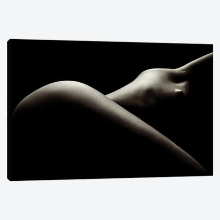 Nude Woman Bodyscape 44 Canvas Print #JSW104} by Johan Swanepoel Canvas Art Print