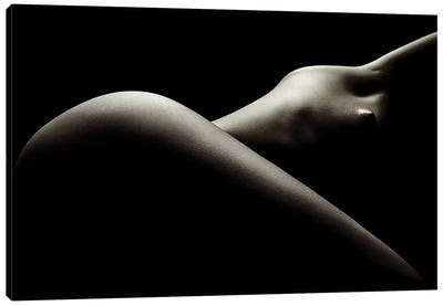 Nude Woman Bodyscape 44 Canvas Art Print - Johan Swanepoel