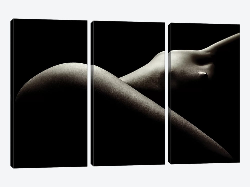 Nude Woman Bodyscape 44 by Johan Swanepoel 3-piece Art Print