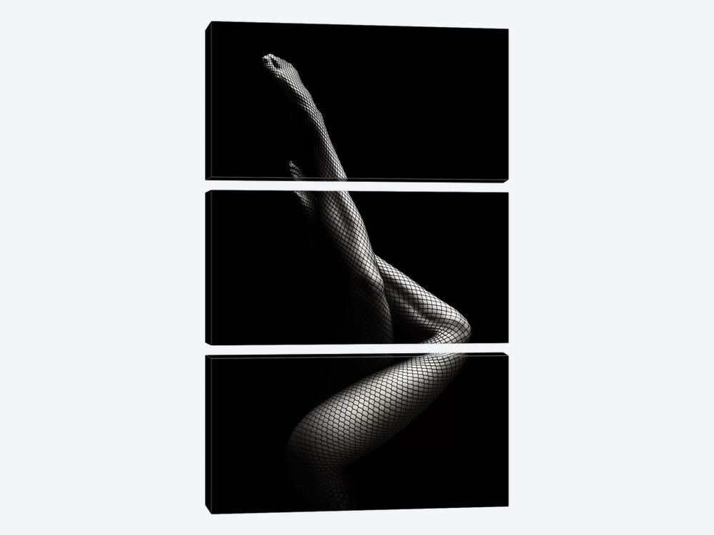 Legs In Fishnet Stockings I by Johan Swanepoel 3-piece Canvas Print