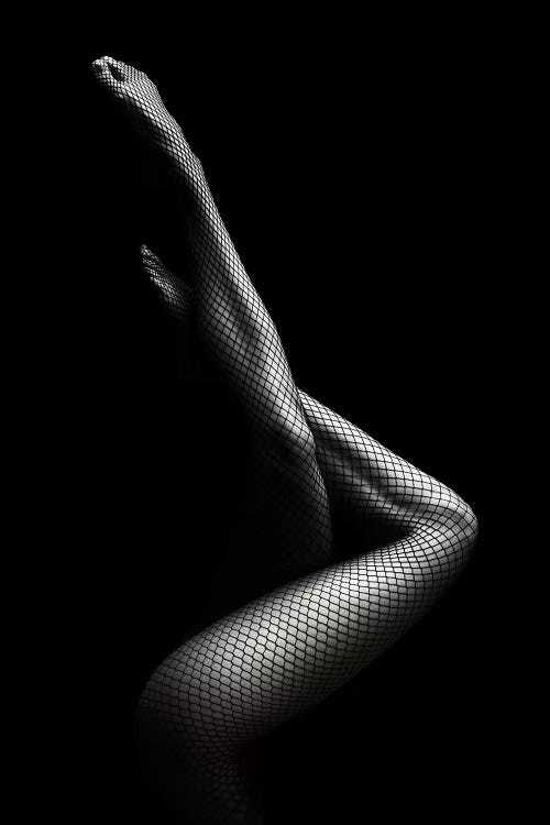 Legs In Fishnet Stockings I Canvas - Canvas Wall Art | Johan Swanepoel
