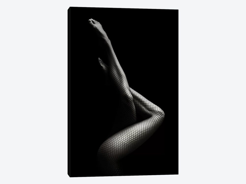 Legs In Fishnet Stockings I by Johan Swanepoel 1-piece Canvas Print