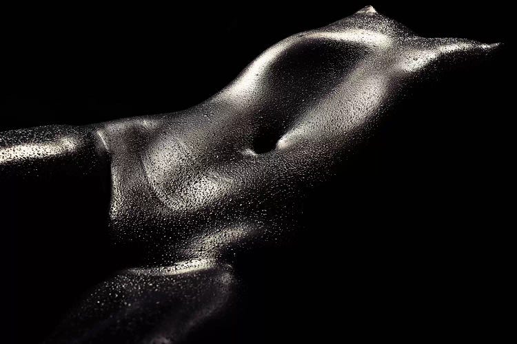 Woman Wet Bodyscape II by Johan Swanepoel wall art